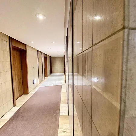 Gray D'albion Bon500 *