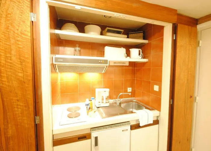 Gray D'albion Bon500 *