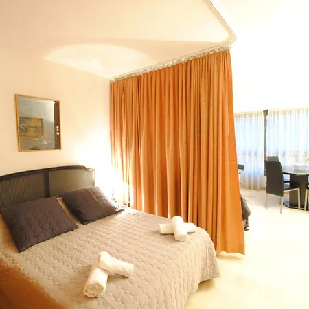 Gray D'albion Bon500