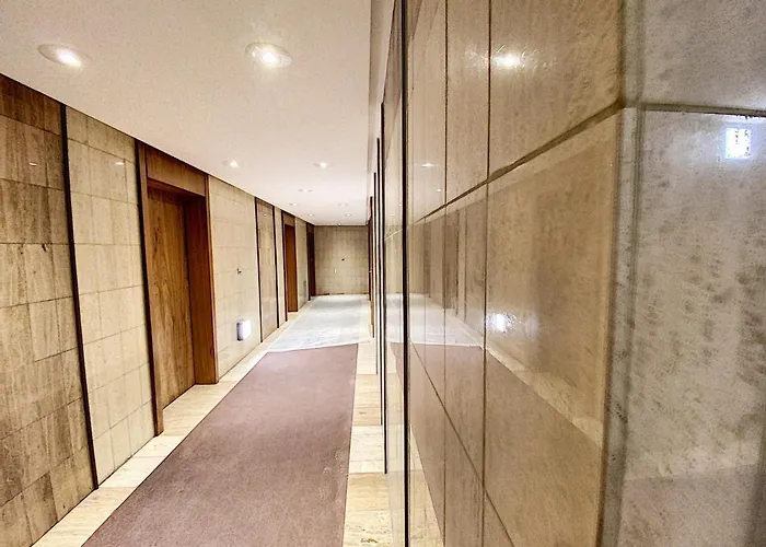 Gray D'albion Bon500 *